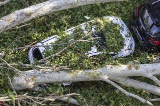 Une femme de 58 ans a été tuée par la chute d'un arbre en se rendant à son travail à pied en Lombardie.